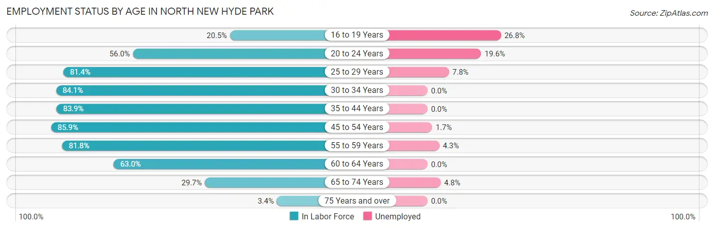 Employment Status by Age in North New Hyde Park