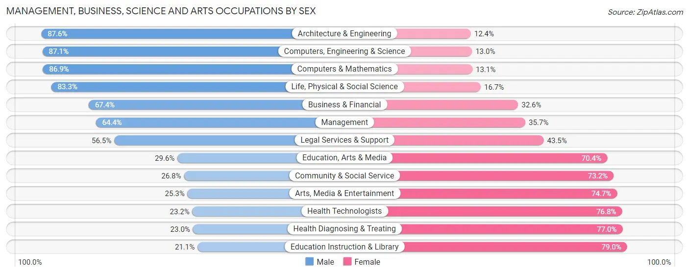 Management, Business, Science and Arts Occupations by Sex in North New Hyde Park