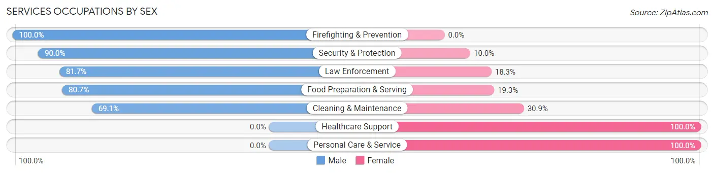 Services Occupations by Sex in North New Hyde Park