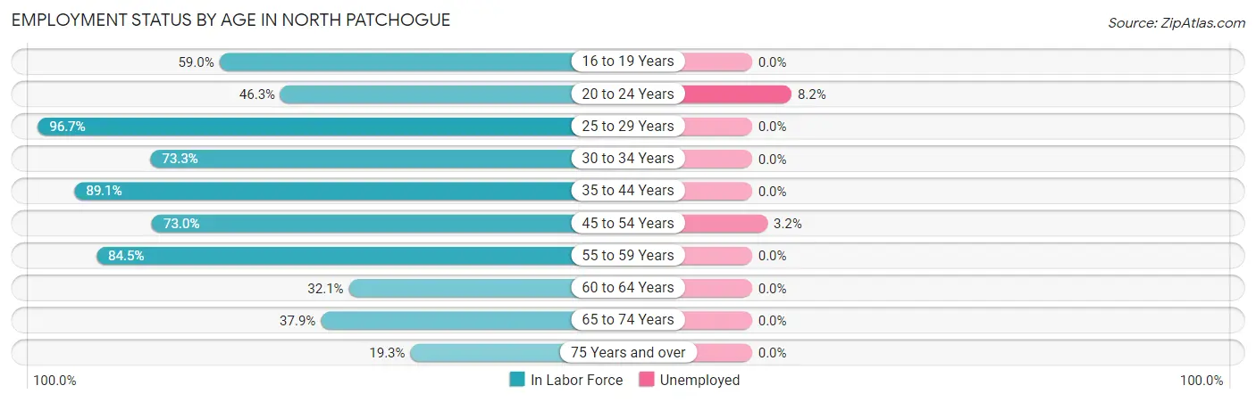 Employment Status by Age in North Patchogue