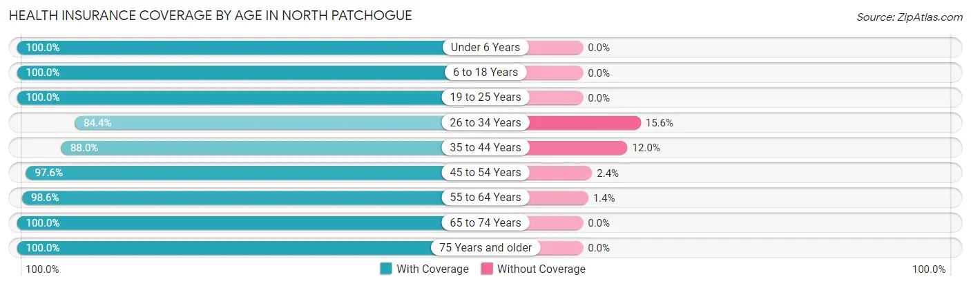 Health Insurance Coverage by Age in North Patchogue
