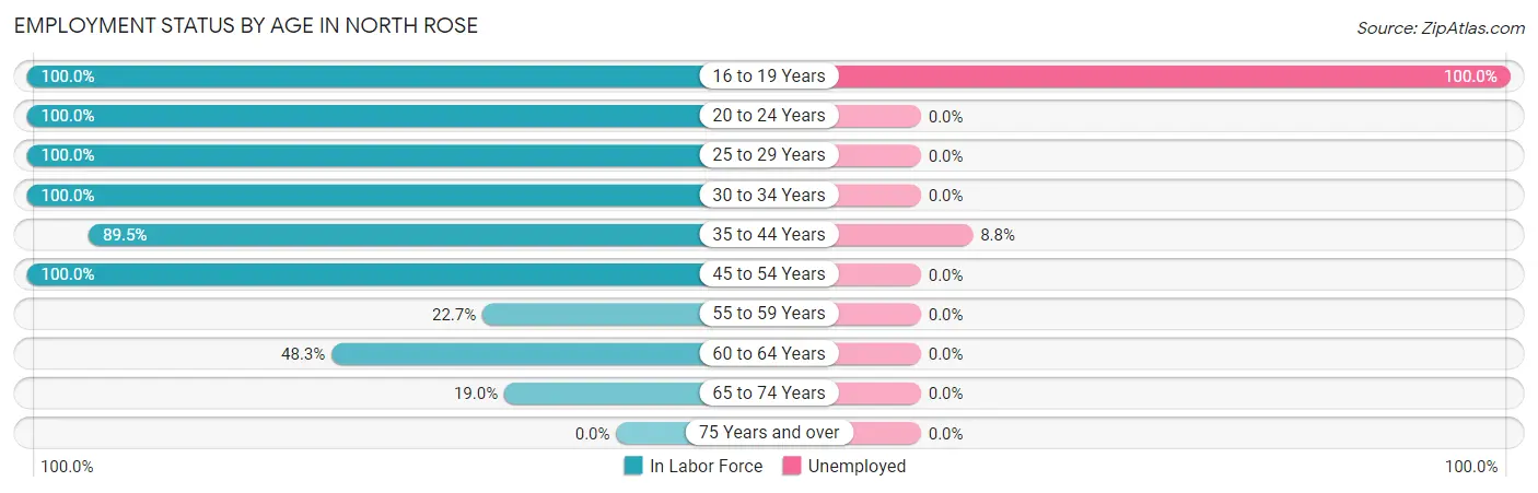 Employment Status by Age in North Rose