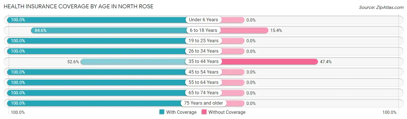 Health Insurance Coverage by Age in North Rose