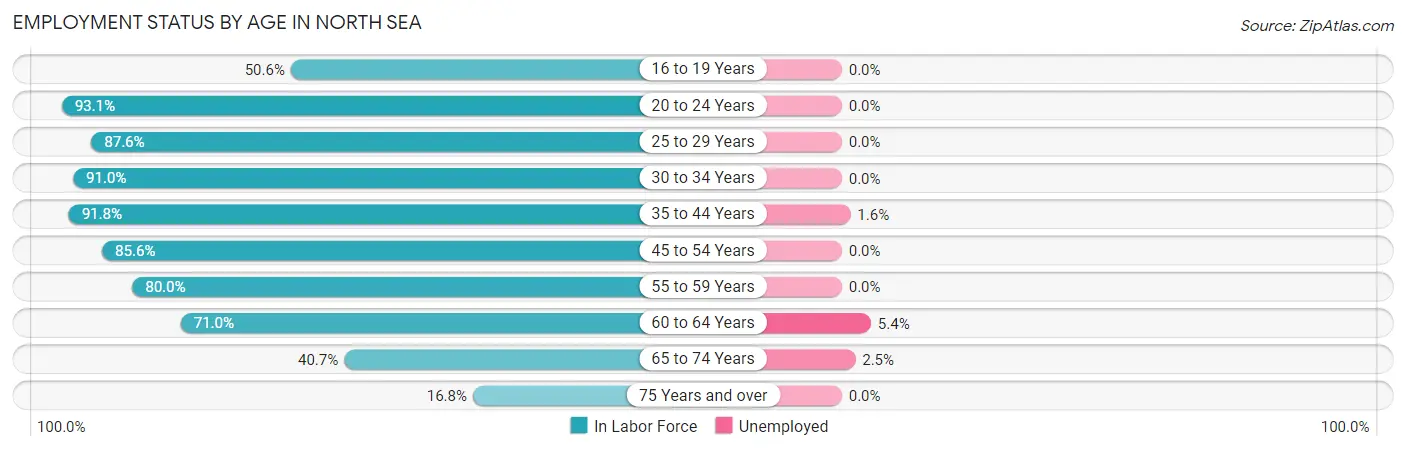 Employment Status by Age in North Sea