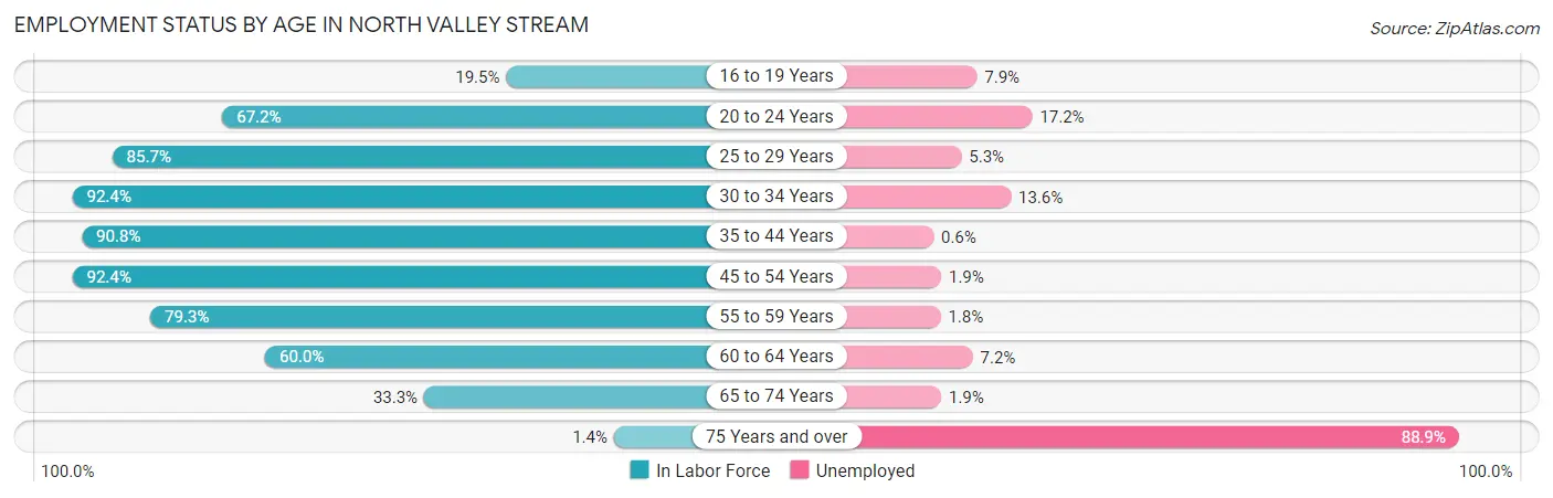 Employment Status by Age in North Valley Stream