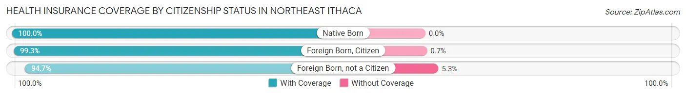 Health Insurance Coverage by Citizenship Status in Northeast Ithaca