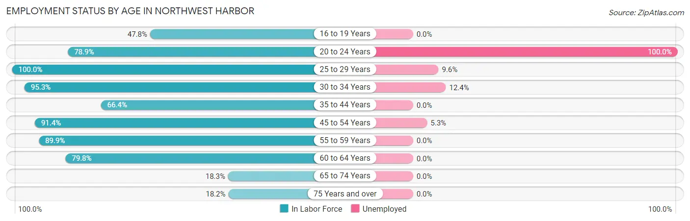 Employment Status by Age in Northwest Harbor