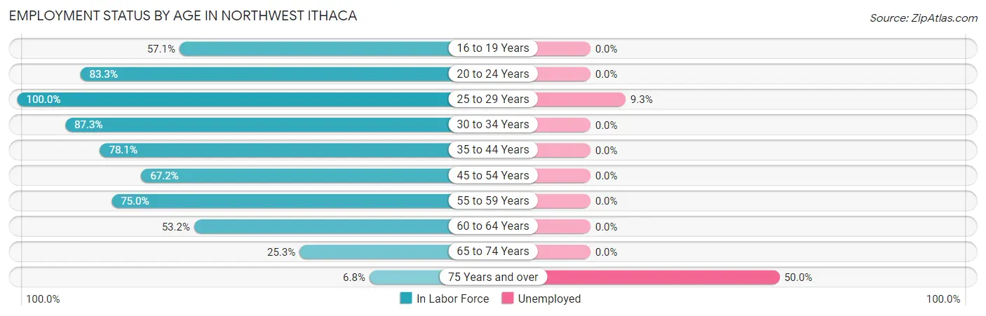 Employment Status by Age in Northwest Ithaca