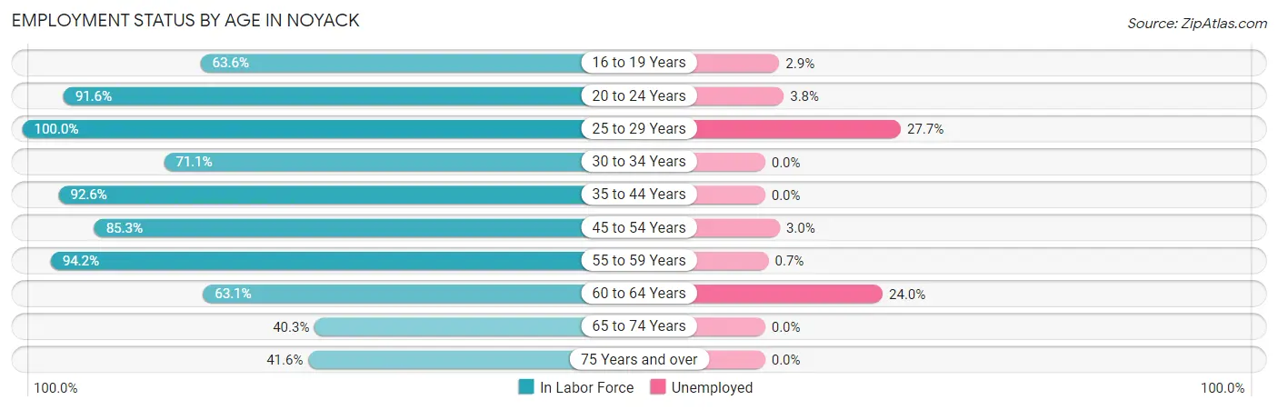 Employment Status by Age in Noyack