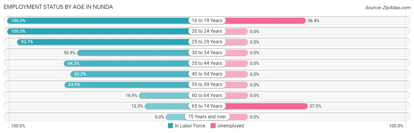 Employment Status by Age in Nunda