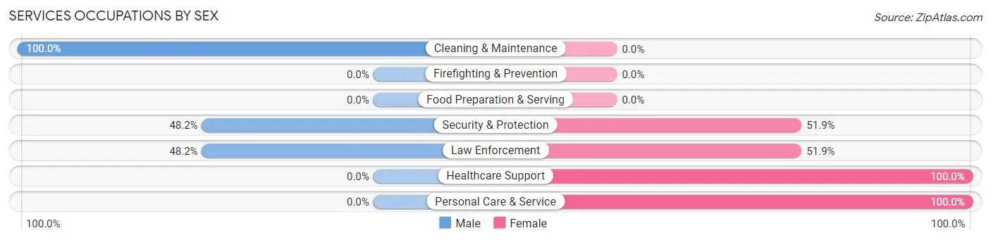 Services Occupations by Sex in Nunda