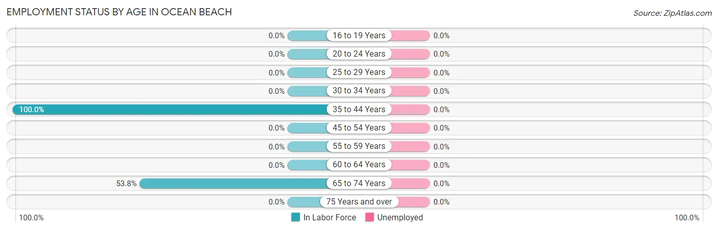 Employment Status by Age in Ocean Beach