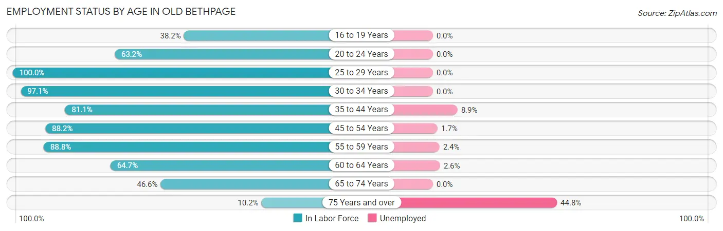 Employment Status by Age in Old Bethpage
