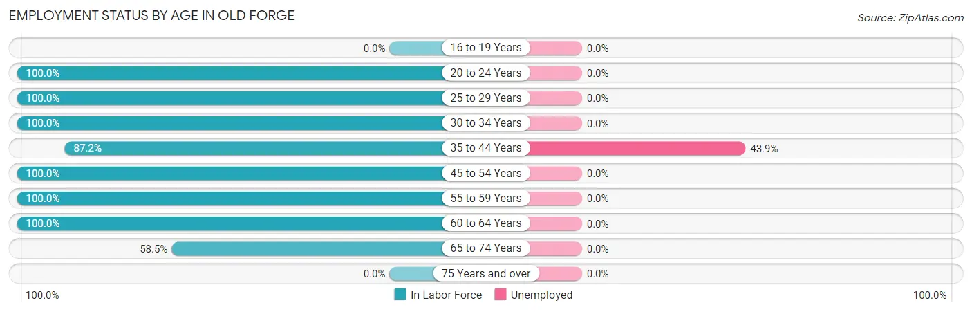 Employment Status by Age in Old Forge