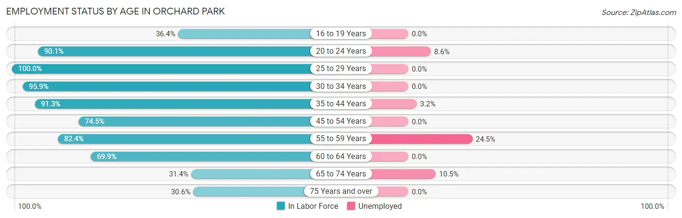 Employment Status by Age in Orchard Park