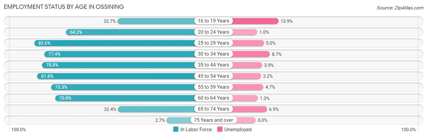 Employment Status by Age in Ossining