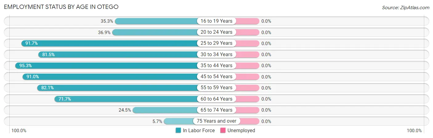Employment Status by Age in Otego