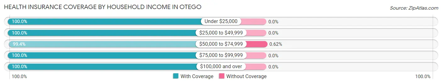Health Insurance Coverage by Household Income in Otego