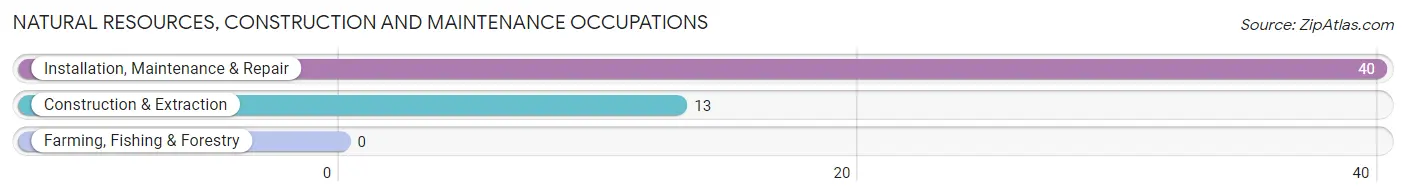 Natural Resources, Construction and Maintenance Occupations in Ovid