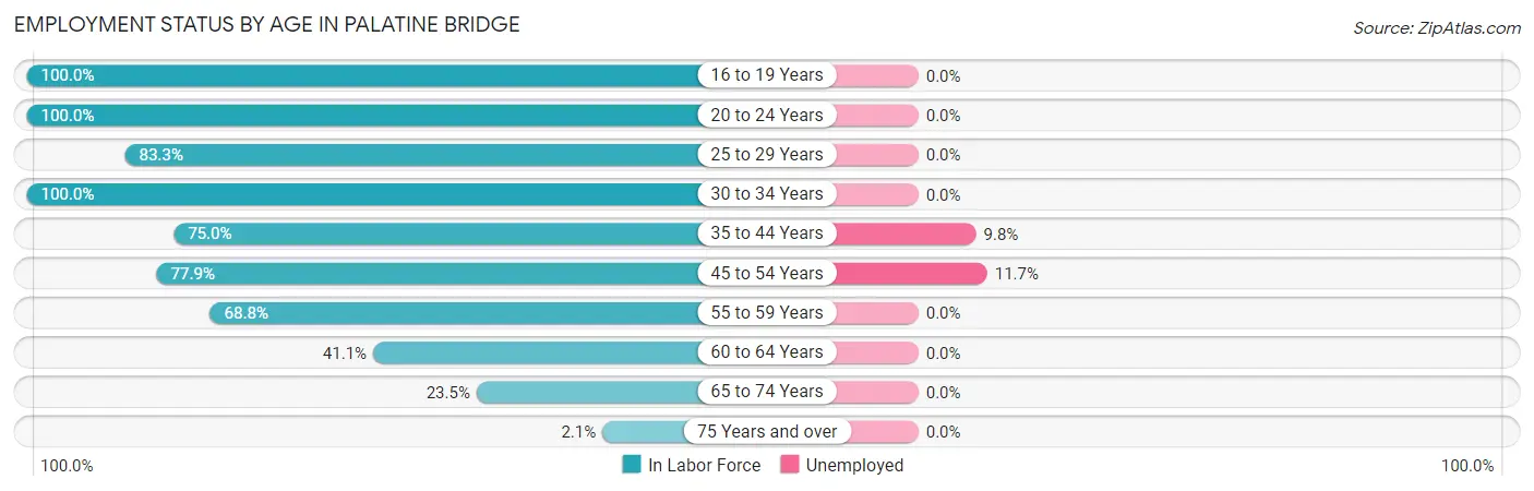 Employment Status by Age in Palatine Bridge