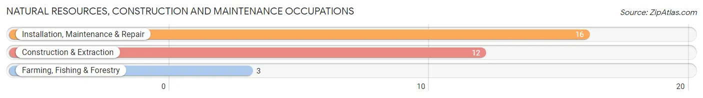 Natural Resources, Construction and Maintenance Occupations in Palatine Bridge