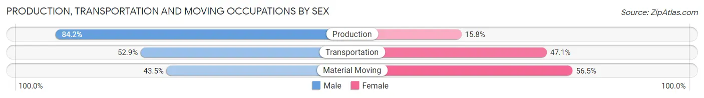 Production, Transportation and Moving Occupations by Sex in Palatine Bridge