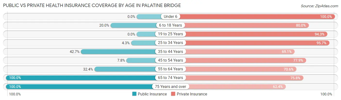 Public vs Private Health Insurance Coverage by Age in Palatine Bridge