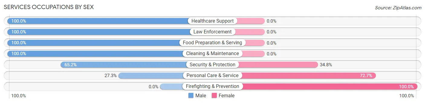 Services Occupations by Sex in Palatine Bridge