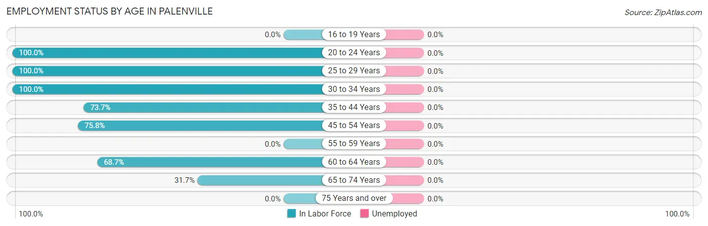 Employment Status by Age in Palenville