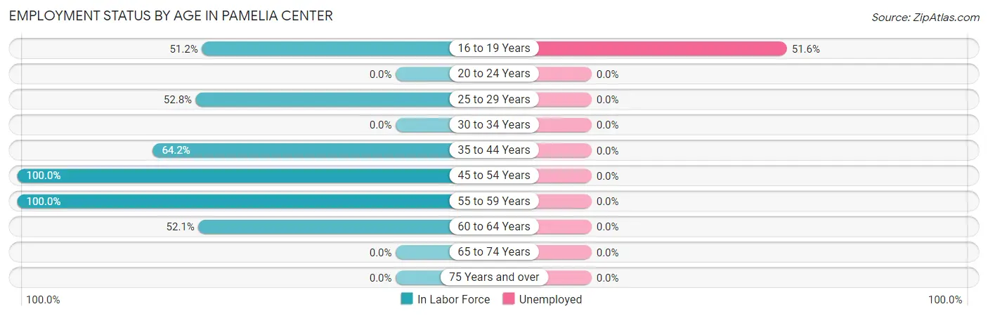 Employment Status by Age in Pamelia Center