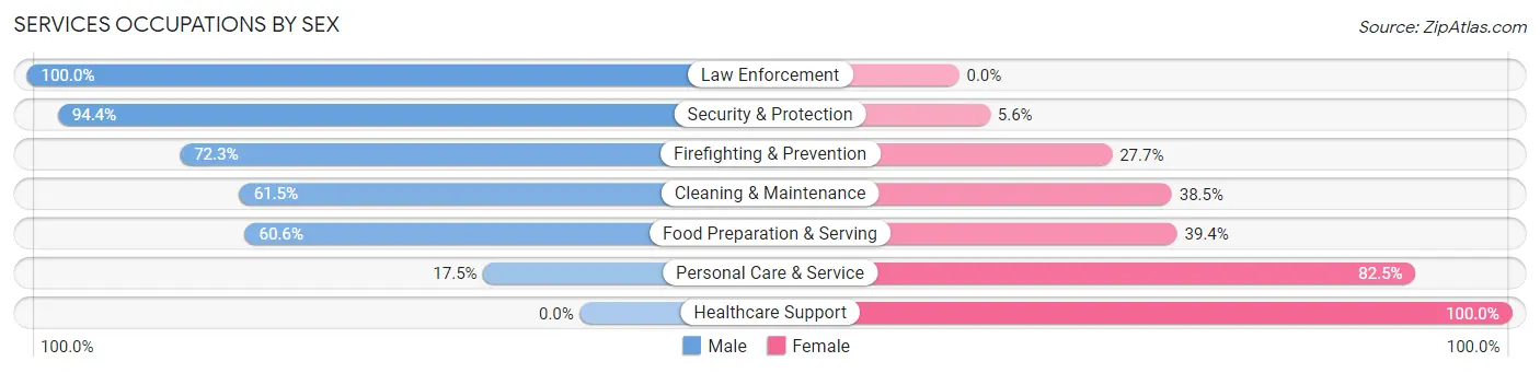 Services Occupations by Sex in Patchogue