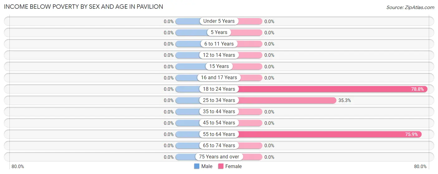 Income Below Poverty by Sex and Age in Pavilion