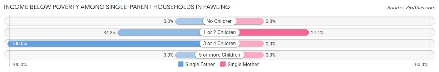 Income Below Poverty Among Single-Parent Households in Pawling