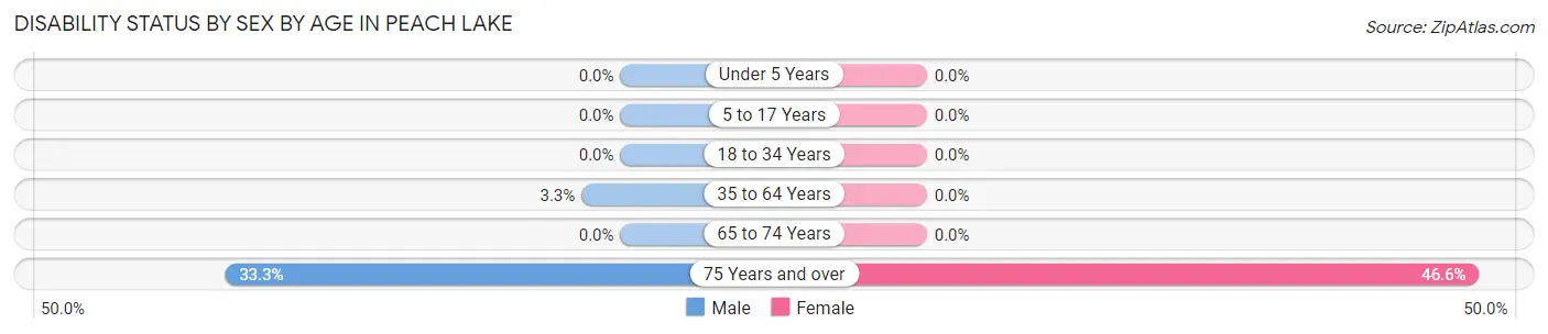 Disability Status by Sex by Age in Peach Lake