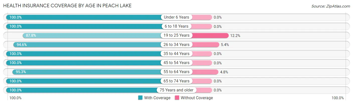 Health Insurance Coverage by Age in Peach Lake