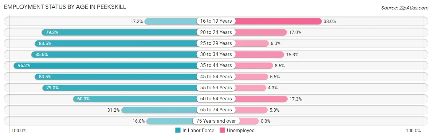 Employment Status by Age in Peekskill