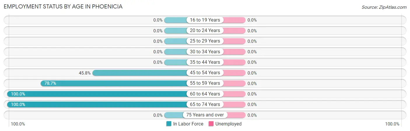 Employment Status by Age in Phoenicia