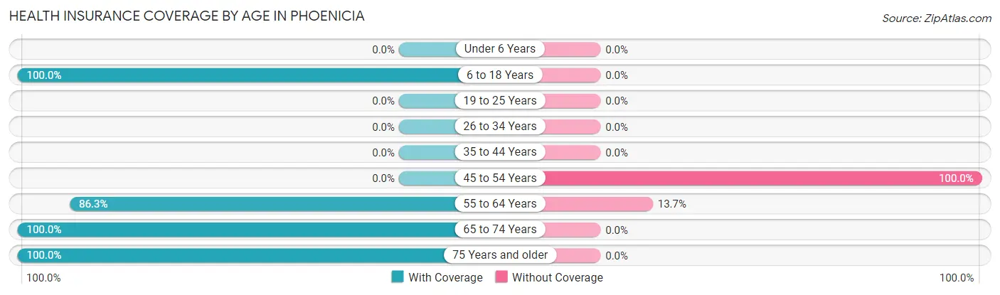 Health Insurance Coverage by Age in Phoenicia