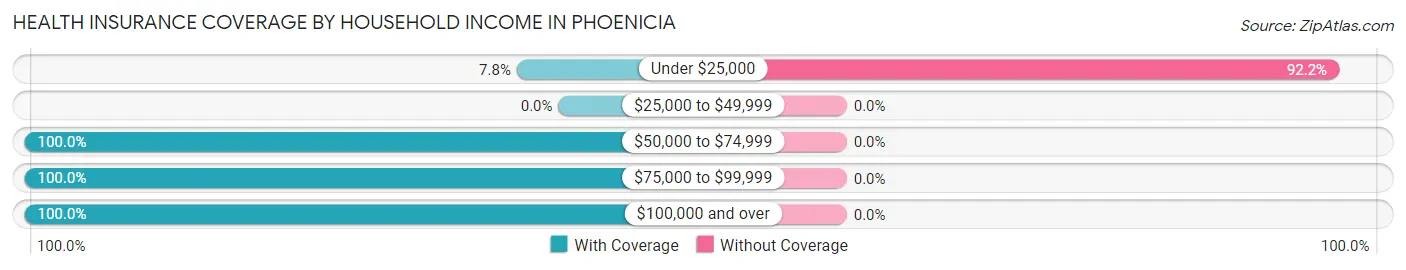 Health Insurance Coverage by Household Income in Phoenicia