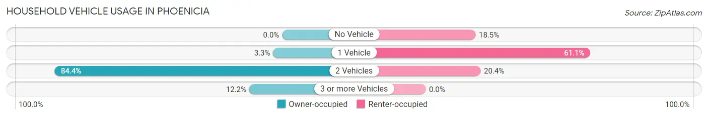 Household Vehicle Usage in Phoenicia