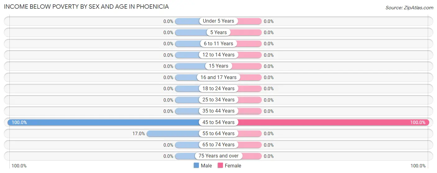 Income Below Poverty by Sex and Age in Phoenicia