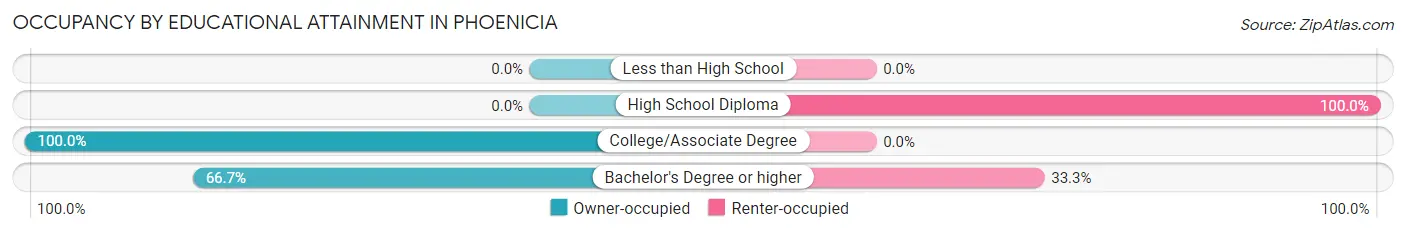 Occupancy by Educational Attainment in Phoenicia