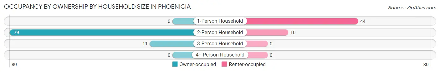 Occupancy by Ownership by Household Size in Phoenicia