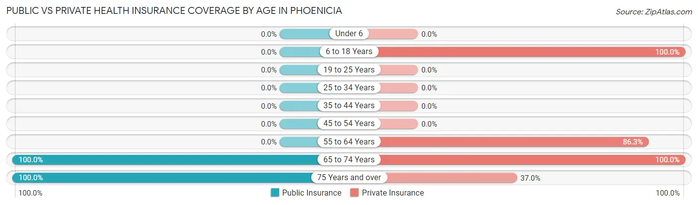 Public vs Private Health Insurance Coverage by Age in Phoenicia