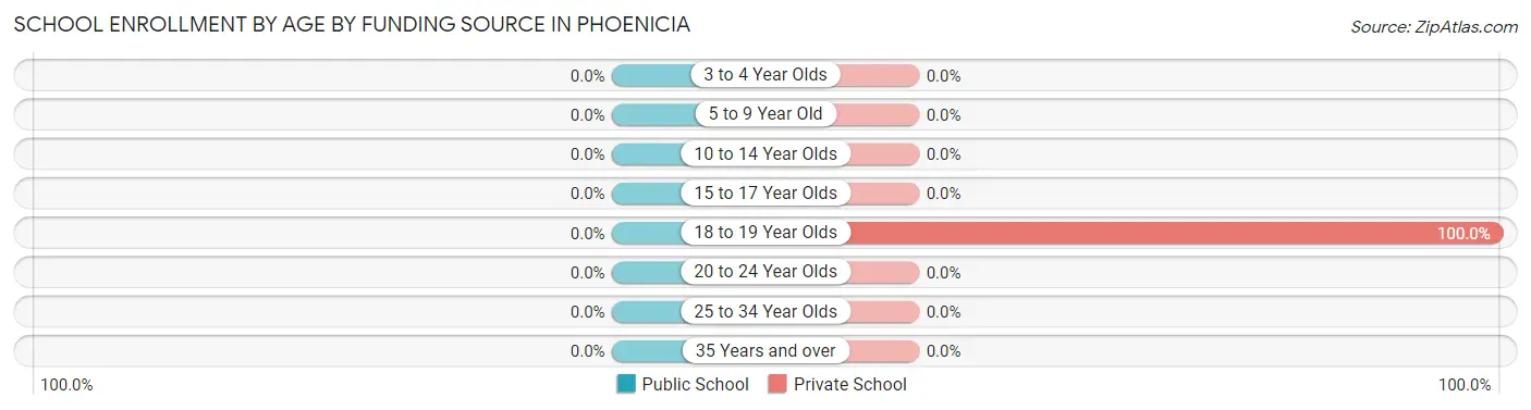 School Enrollment by Age by Funding Source in Phoenicia