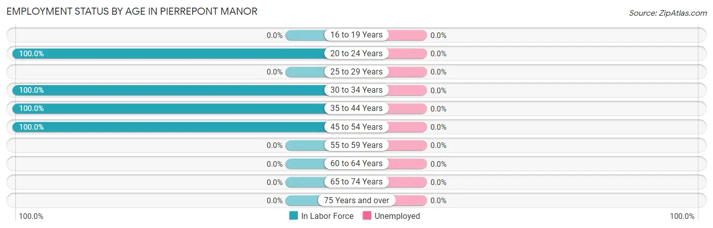 Employment Status by Age in Pierrepont Manor