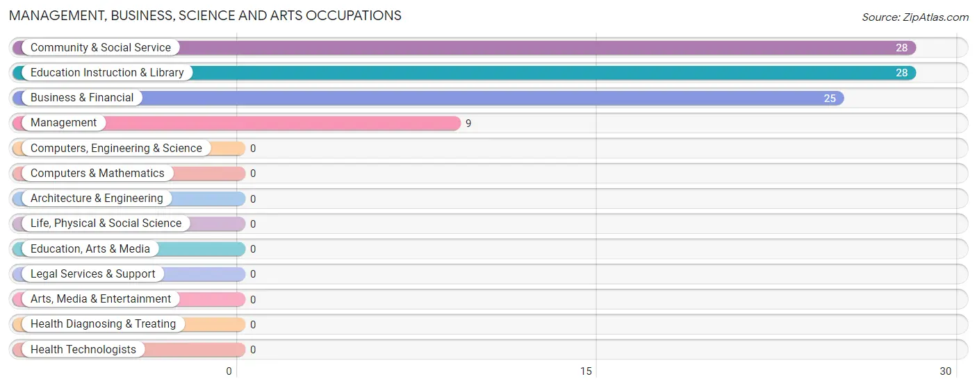 Management, Business, Science and Arts Occupations in Piffard