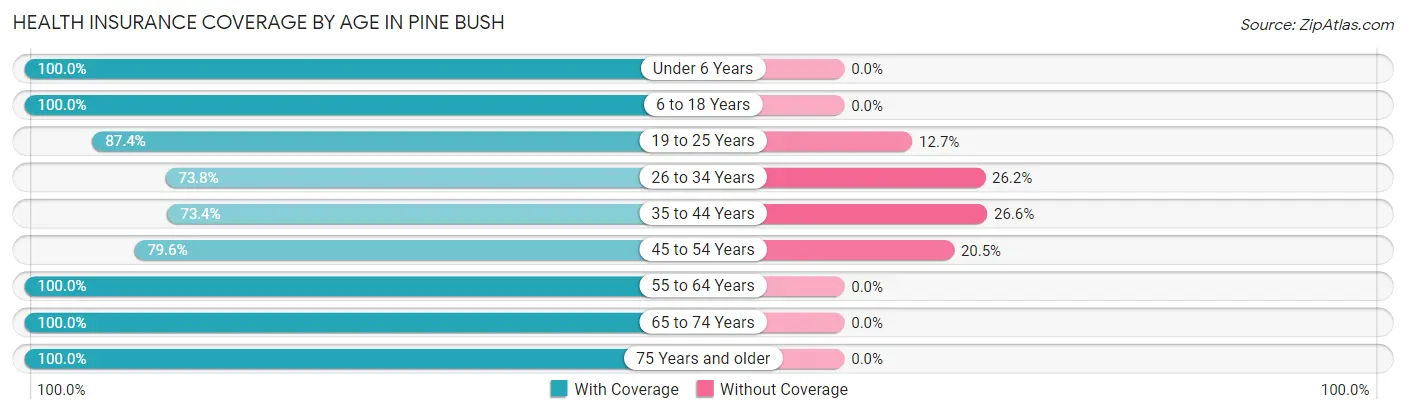 Health Insurance Coverage by Age in Pine Bush