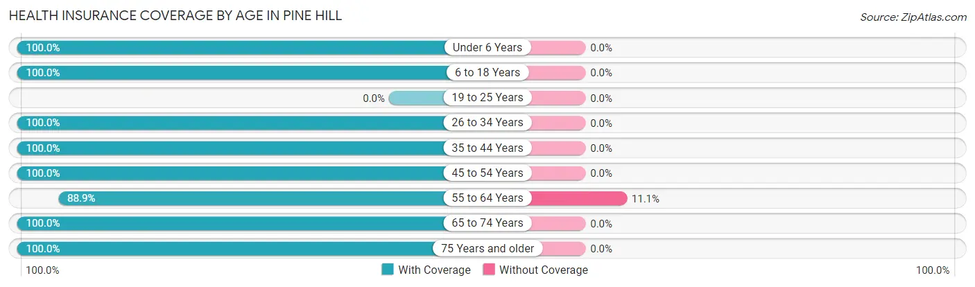 Health Insurance Coverage by Age in Pine Hill