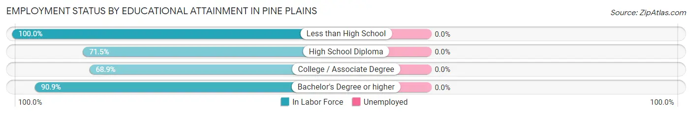 Employment Status by Educational Attainment in Pine Plains